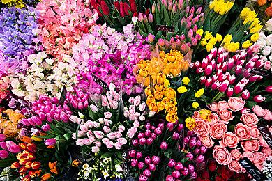 《第一后裔》泳装皮肤展示 女角性感曲线让人难把持